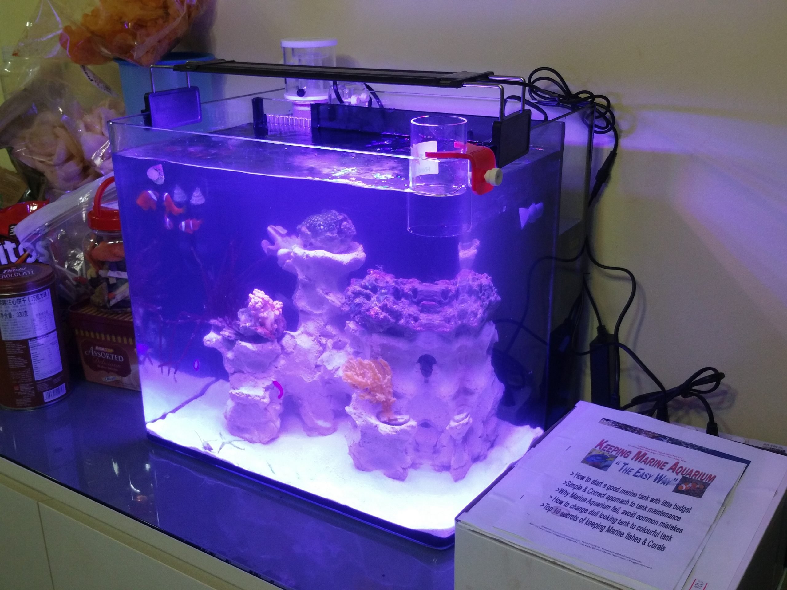REEFMAX ECO-EASY Nano 40 45 50 cm Tank without cabinet - Image 5
