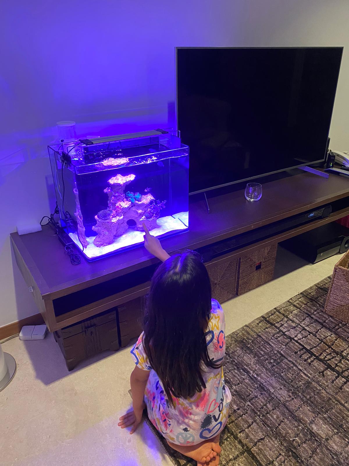 REEFMAX ECO-EASY Nano 40 45 50 cm Tank without cabinet - Image 7