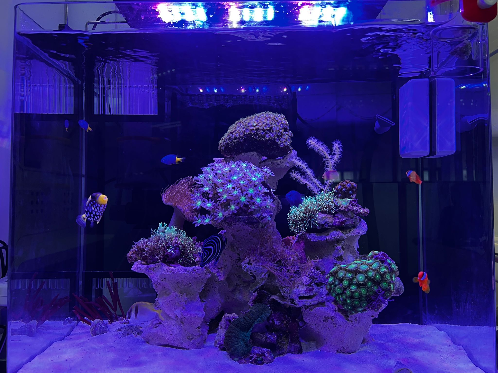 REEFMAX ECO-EASY Nano 40 45 50 cm Tank without cabinet - Image 9