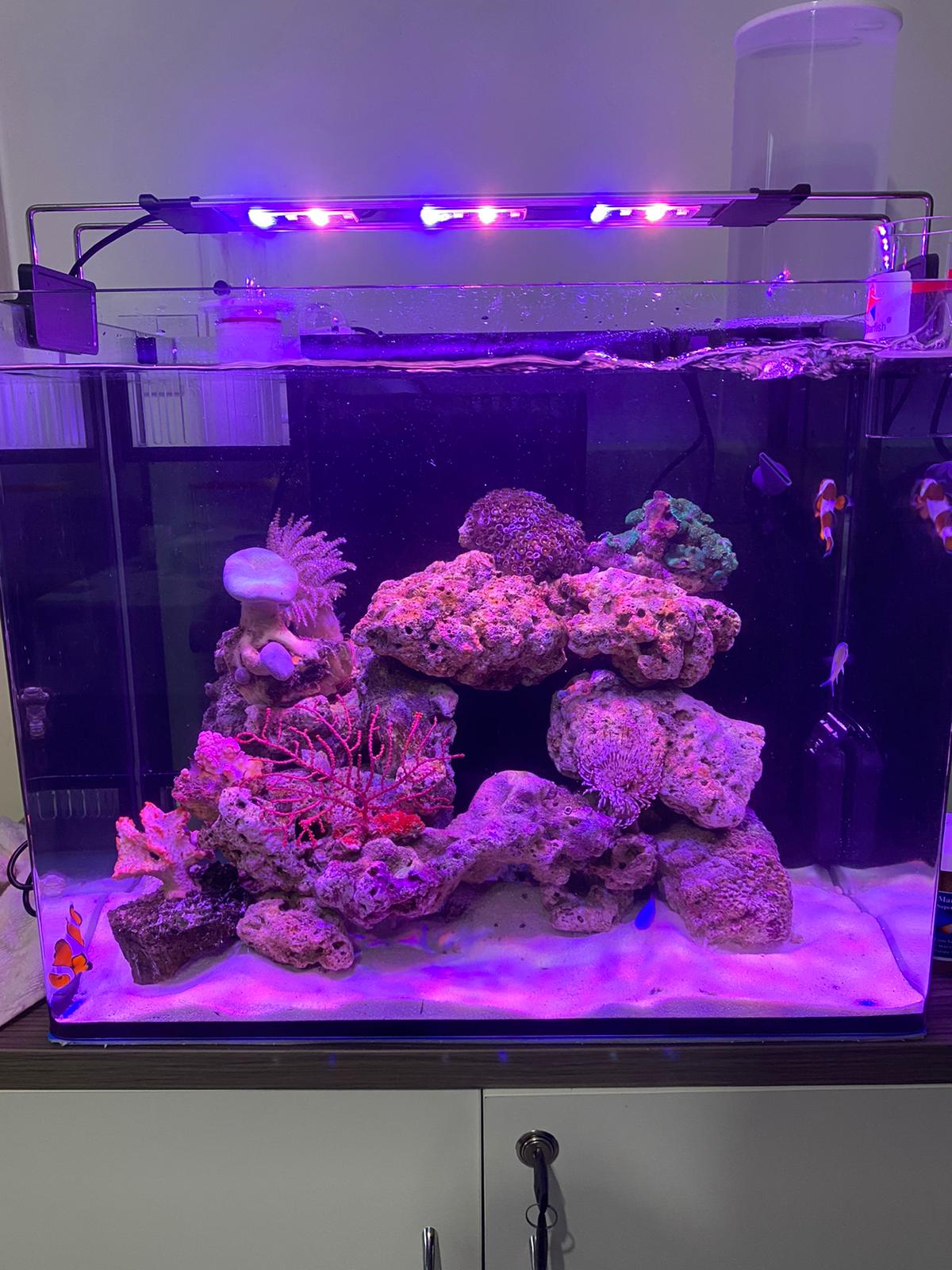 REEFMAX ECO-EASY Nano 40 45 50 cm Tank without cabinet - Image 11