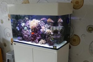 REEFMAX ECO-EASY 60 or 90 cm Tank with Cabinet