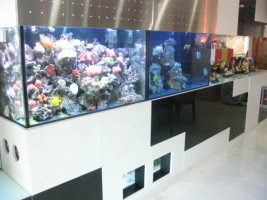 Del Costa Condominium Design and Build Tank
