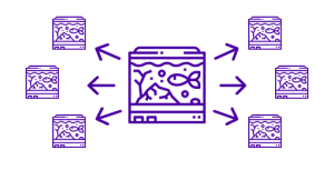 Replicable Successful Marine Aquarium