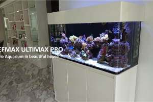 REEFMAX Ultimax-Pro Tank