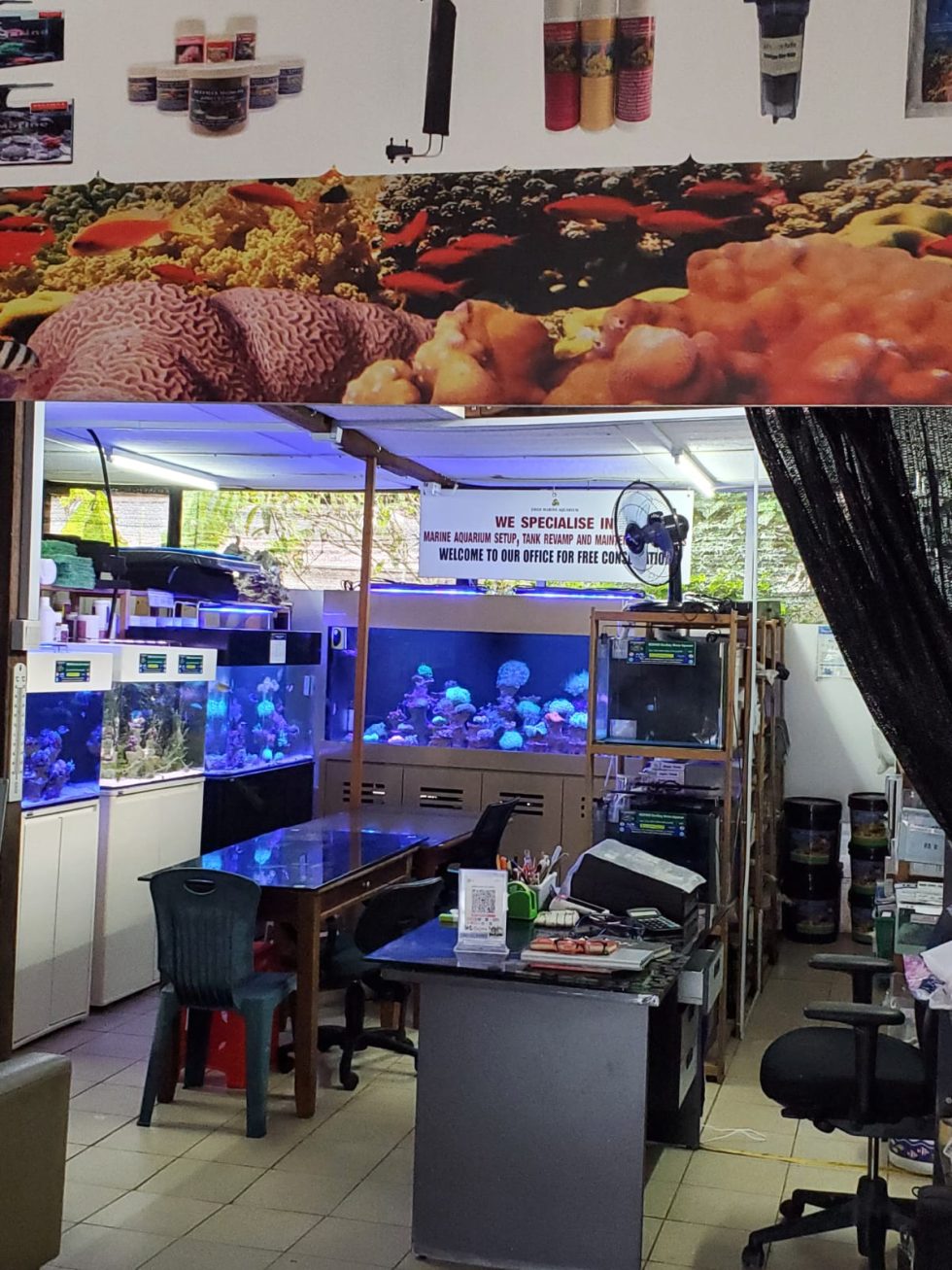 Exotic Creature | Jireh Marine Aquariums