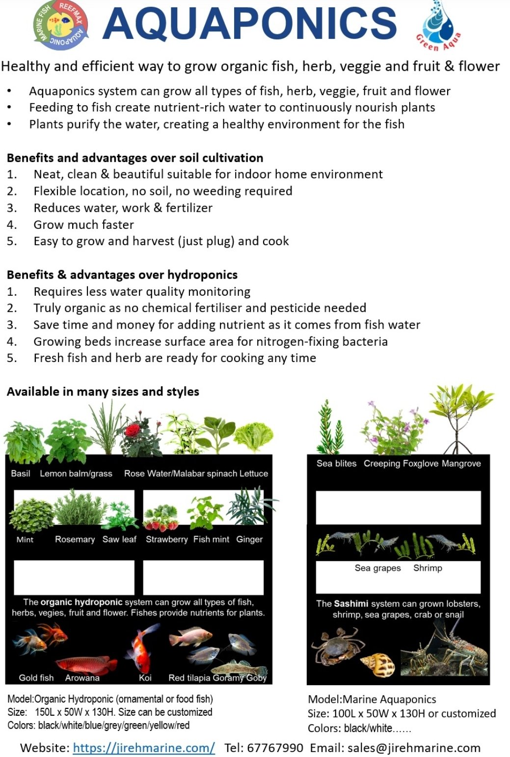 Aquaphonic : Organic Herb , Vegetable and Fish Culture - Image 2
